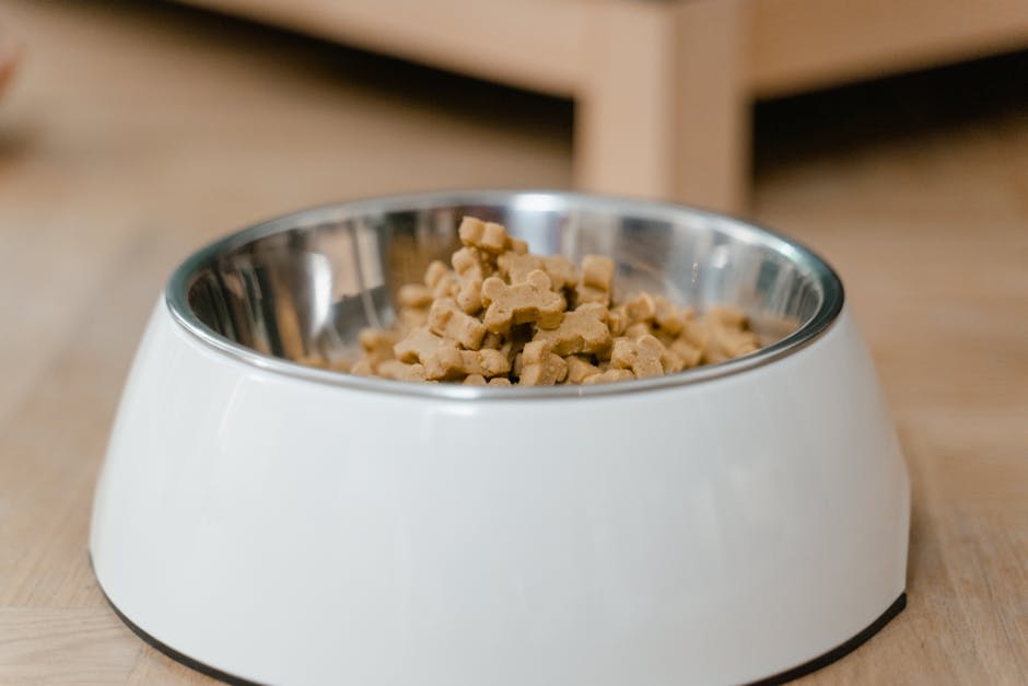 Nutrition and Feeding Guidelines for Active Pointers